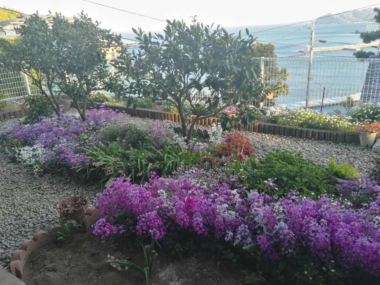 Atami Onsen Guest House Megumi Ngoại thất bức ảnh